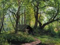 viejo tilo 1894 paisaje clásico Ivan Ivanovich árboles